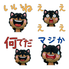 Plush Miniature Pinscher  9th