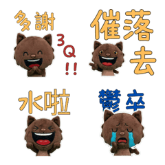 ภาษาไต้หวัน แมวเบอร์มีส  33