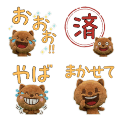 Plush Chow Chow  9th