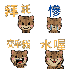 สติกเกอร์ แมวอิริโอะโมะเตะ ไต้หวัน  31st