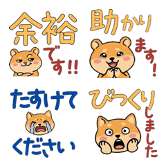 Moving Polite Golden Hamster 24