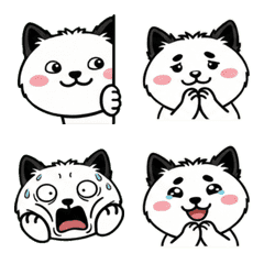 Moving Round Face Scottish Terrier 20