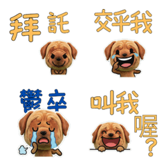 Animated Taiwanese Tosa Dog  34