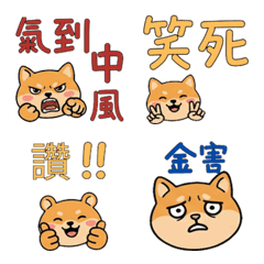 Moving Taiwanese Golden Hamster 38