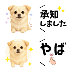 Daily Messages with Chihuahua3