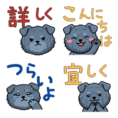 Kerry Blue Terrier 21