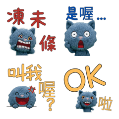 Taiwanese Chartreux  33