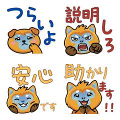 Round Face Snub-nosed Monkey 21