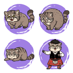 The Cool Pallas's Cat (Purple)