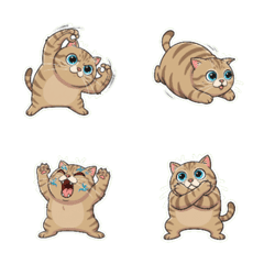 짧은 다리 고양이의 즐거운 웃음 시간