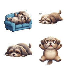 왕대두 강아지 배고파 밥 먹자!