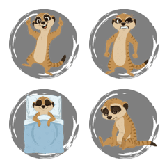 Meerkat Alertness (Black)