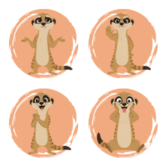 Meerkat Alertness (Orange)