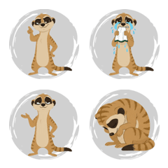 Meerkat Alertness (Gray)