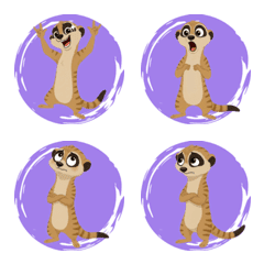 Meerkat Alertness (Purple)