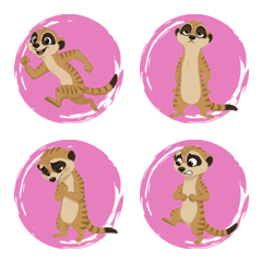 Meerkat Alertness (Pink)