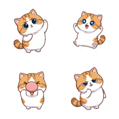 แววตาอันน่ารักไร้เทียมทานของน้องแมวขาสั้