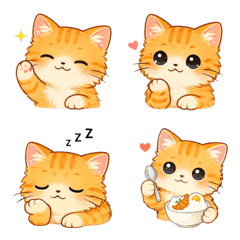 แมวส้มจอมป่วน (ขี้อ้อนสุดๆ)