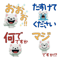 Animated Polite Hokkaido Dog  12