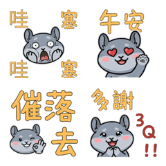 Moving Taiwanese Chinchilla 38