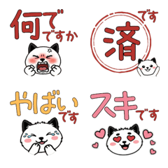 Polite Round Face Scottish Terrier 23