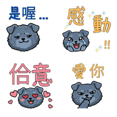 台湾語のケリーブルー37