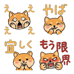 Moving Round Face Golden Hamster 22