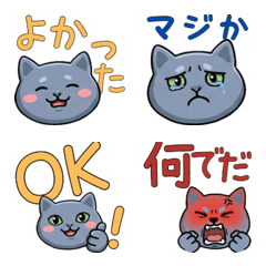 Moving Round Face Korat Cat 22