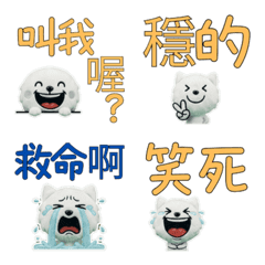 Moving Taiwanese Spitz  34