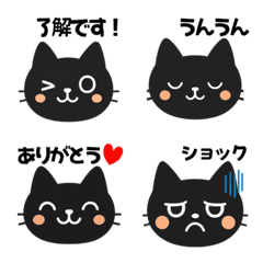 Black Cat Daily Reactions