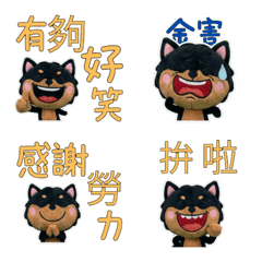 Taiwanese Miniature Pinscher  33