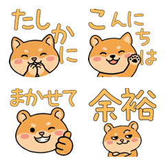 Round Face Golden Hamster 21