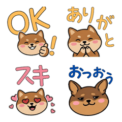 Moving Chiwachs Mix 22