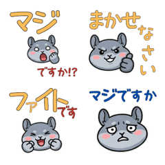 Polite Round Face Chinchilla 23