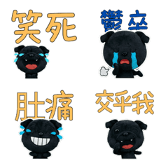 Animated Taiwanese Black Pug  34