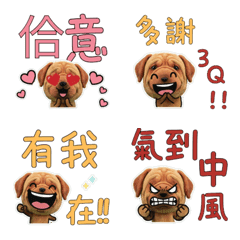 Taiwanese Tosa Dog  33