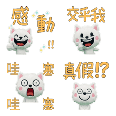 Animated Taiwanese Hokkaido Dog  34