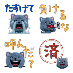 Plush British Shorthair  9th