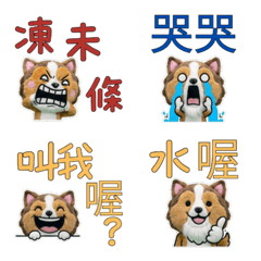 ดุ๊กดิ๊ก ภาษาไต้หวัน เชลตี้  34