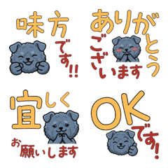 Polite Round Face Kerry Blue Terrier 23