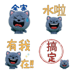 Animated Taiwanese British Shorthair  34