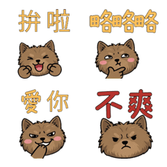 Moving Taiwanese Cairn Terrier 38