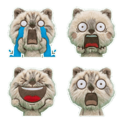 Animated Ragamuffin  8th