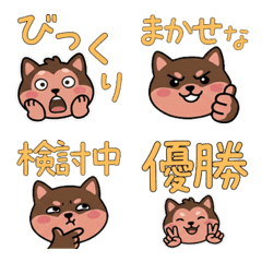 Moving Round Face Chimpanzee 22