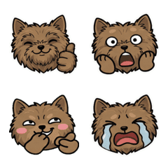 Moving Round Face Cairn Terrier 20