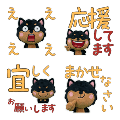 Polite Miniature Pinscher  11