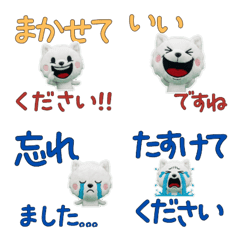 Polite Kishu Ken  11