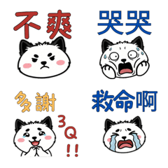 Taiwanese Scottish Terrier 37