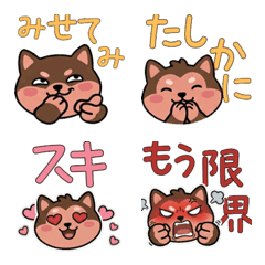 Round Face Chimpanzee 21