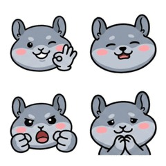 Round Face Chinchilla 19
